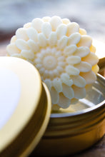 Load image into Gallery viewer, Nirvana - Cacao Lotion Bars